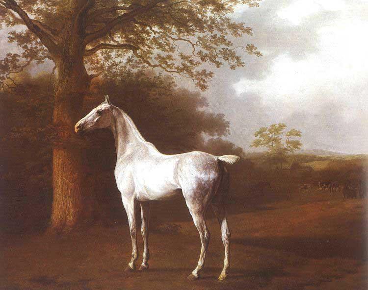 Agasse, Jacques-Laurent White Horse in Pasture